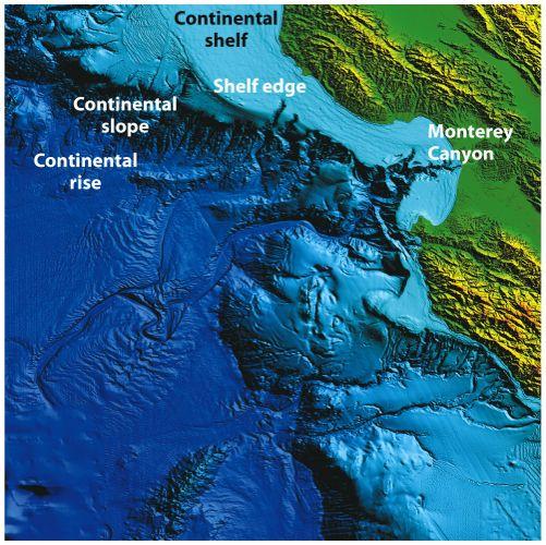 Submarine Canyons Deep channels that cut into