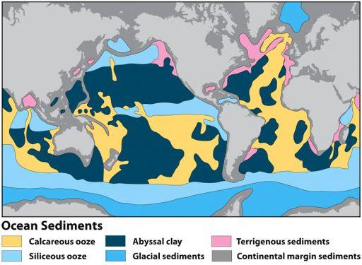 Dominant type of marine sedimentation depends on: Dissolution Dilution Productivity Do calcareous or siliceous