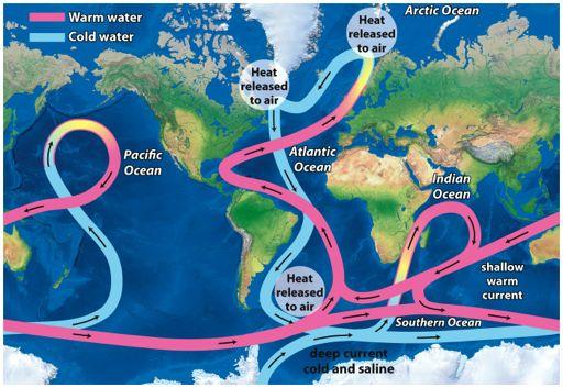 Thermohaline Circulation Ocean Currents Driven by temperature and salinity
