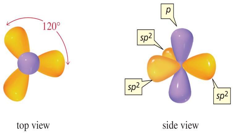 sp 2 atom with 3 areas of electrons trigonal planar system C = trigonal planar N = trigonal bent O = linear 120