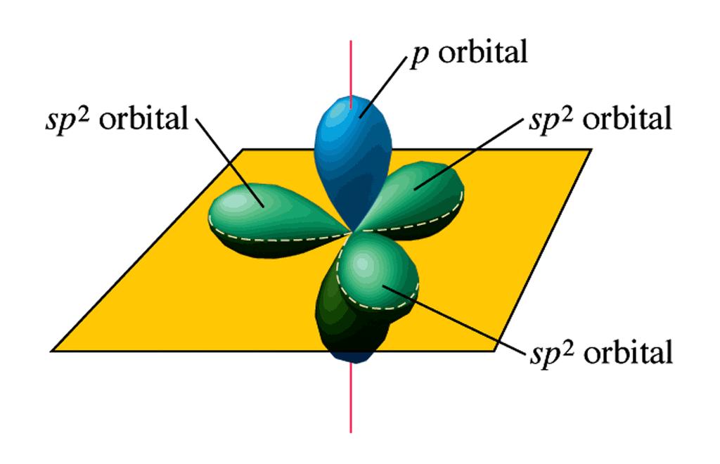 SP 2 Hybrid When an s and two p orbitals are mixed to form a set of three sp 2 orbitals, one p orbital remains unchanged and is perpendicular to the plane
