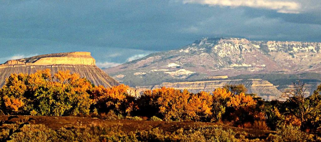 Photo 4: The Grand Mesa of western Colorado is shown here on a sunny afternoon. Photo credit: Grand Mesa Repeater Association.