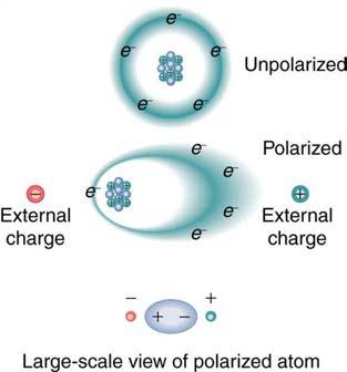 Chapter 19 Electric Potential and Electric Field 753 Figure 19.18 Artist s conception of a polarized atom.