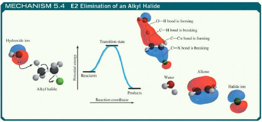 5.15 The E2 Mechanism - Bimolecular Elimination Reaction is concerted Rate depends on [base][alkyl halide] i.e. Bimolecular E2 Bond forming & bond breaking events all occur at the same time 5.