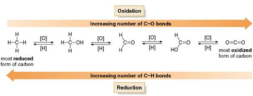Oxidation and Reduction Oxidation: