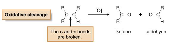 Oxidative Cleavage Oxidative cleavage of an alkene breaks both the σ and π bonds of the