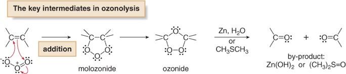 Oxidative Cleavage Addition of O 3 to the π bond of an alkene forms a molozonide, which rearranges