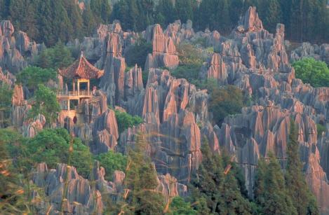 Figure 5 The Stone Forest in Yunnan, China, is a dramatic example of karst topography. Venn Diagrams Draw a Venn diagram with two circles, and title it Karst Topography.