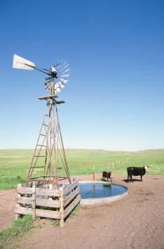 A well is a hole that is dug to below the level of the water table and through which groundwater is brought to Earth s surface.