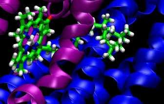 mpg Molecular simulation: 320,171 atoms Cytochrome