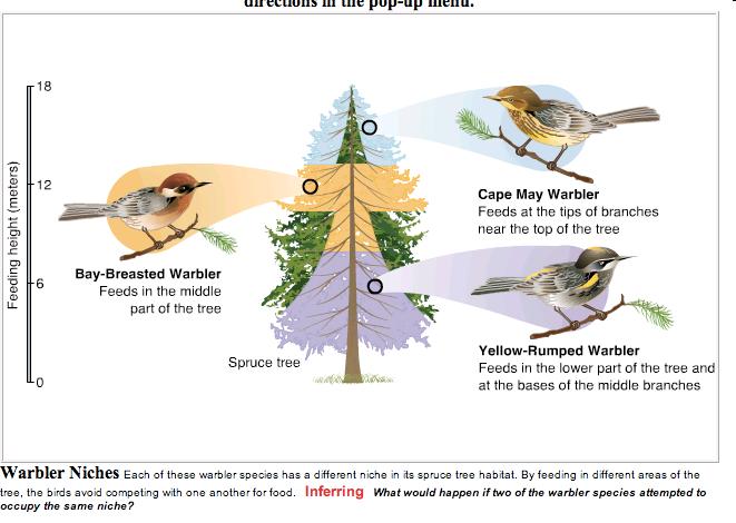 3. Why can these birds live in the