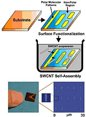 Nanofabrication Using Self Assembly Polar Molecular Patterns Non-Polar Region Substrate Surface Functionalization SWCNT Suspension The substrate is functionalized with organic molecules to produce