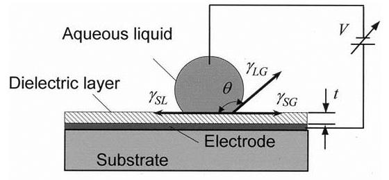 Wetting Young s equation (after Thomas Young who first proposed it in 1805) describes the simple balance of force between the liquid-solid, liquid-vapor, and solid-vapor interfacial surface energies