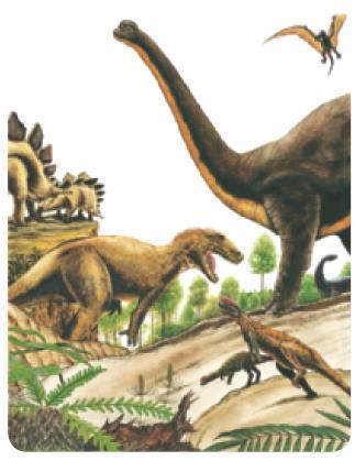 The Geologic Time Scale The Mesozoic Era Dinosaurs, birds, and mammals evolved during the Mesozoic Era The K-T boundary is a layer of material in between the rocks in the Cretaceous and Paleogene