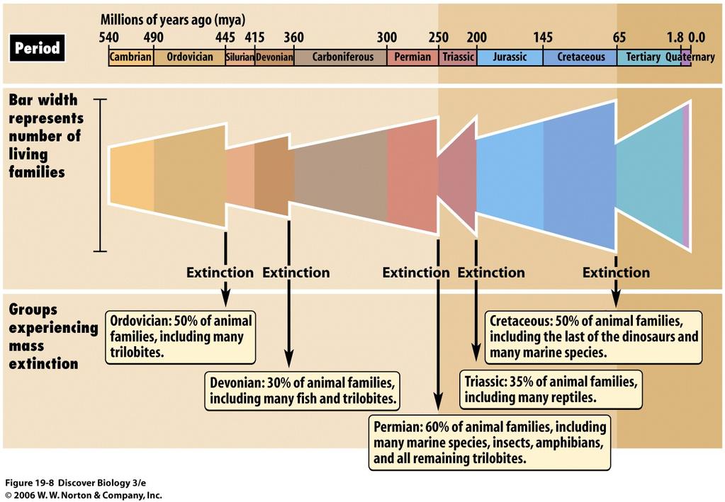 What is a Mass Extinction? http://alfin2100.
