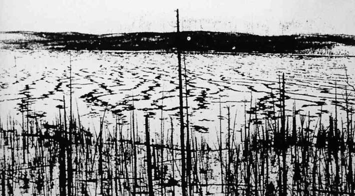 Known Impacts: Tunguska Siberia, June 30, 1908 Flattened 80 million trees over 830 sq miles Probably caused by small comet or asteroid