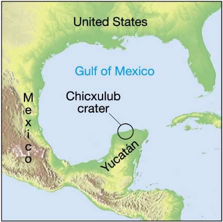 Candidate Crater: the Smoking Gun Chicxulub crater: Discovered in late 1970s; oil drilling > 180 km in diameter Dated to 65 Myrs ago Clear