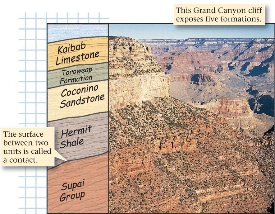 Stratigraphy The science of rock layers Concerned with all characters and properties (physical, chemical and/or biological)