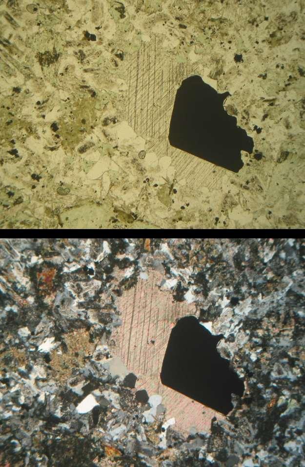 Concentration of coarse pyrite and calcite within a finer-grained more typical matrix of the sample.