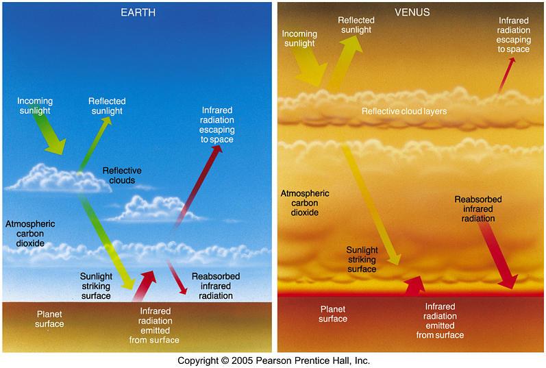 Why is Venus so hot? 1. Venus has a runaway greenhouse effect 2. Surface temperature 480 C 3.