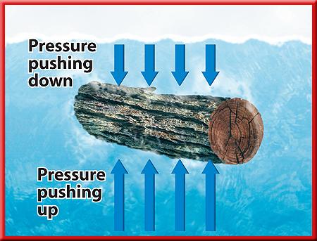 3 Float or Sink Behavior of Fluids Just as air pressure increases as you