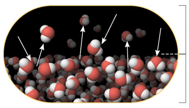 In a liquid there are few molecules with a kinetic energy larger than the energy of intermolecular attractive forces.