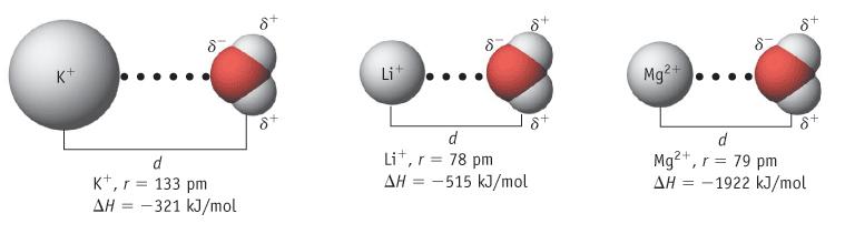 An example of the interaction between ions and polar molecules: the formation of hydrated ions in aqueous solution.