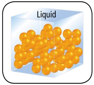 States of Matter The physical forms of matter, either solid, liquid, or gas, are called the states of matter.