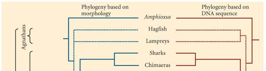 Hypotheses of evolutionary