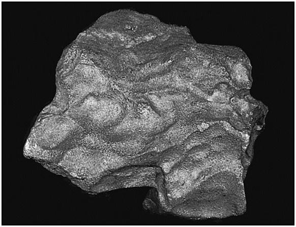 Michelle Knapp Sonic boom accompanied its arrival The meteorite Stony meteorite An L6 chondrite 30 x 18 x 11.