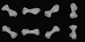 Uniform brightness Most are irregular shaped Elongated asteroids vary in brightness as seen