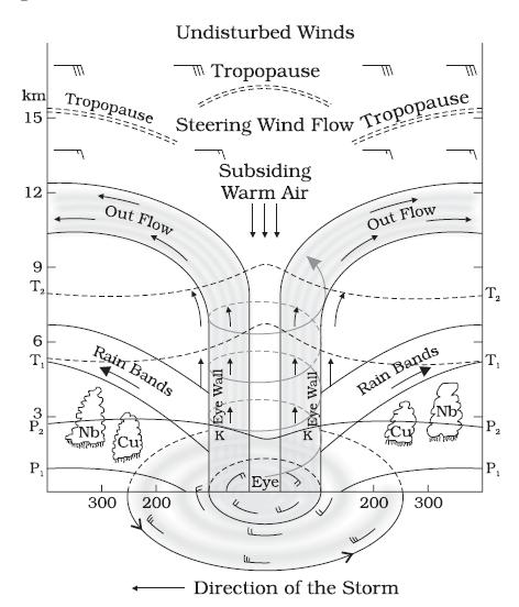 A schematic representation of the vertical structure of a mature tropical cyclonic A mature tropical cyclone is characterised by the strong spirally circulating wind around the centre, called the eye.
