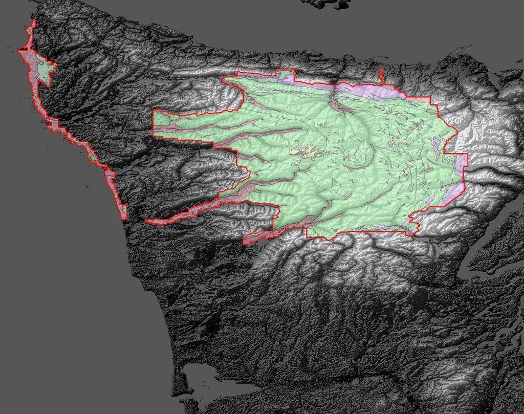 and name the output file and location to generate a hillshade image that acts as a shaded relief raster.