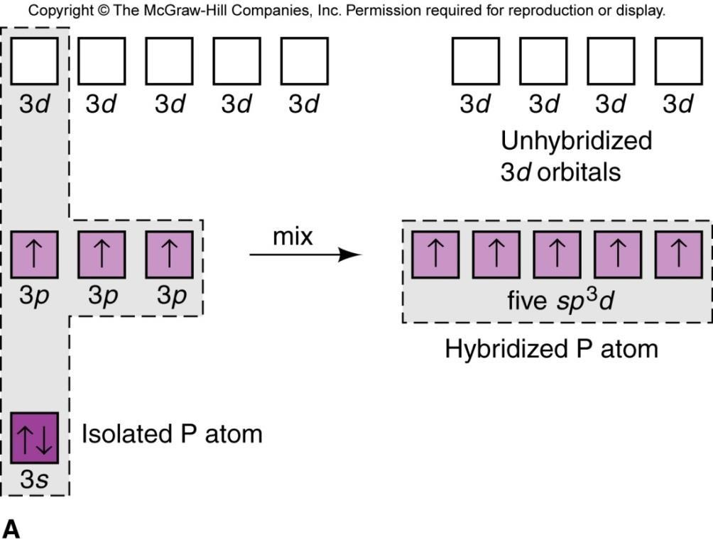 One 3s, three 3p, and one 3d atomic orbitals mix to form five sp 3 d hybrid orbitals Overlap of P and Cl orbitals to form