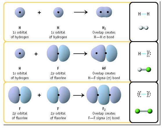 VB Theory and Orbital Hybridization The orbitals that form when bonding occurs are different from the atomic orbitals in the isolated atoms.