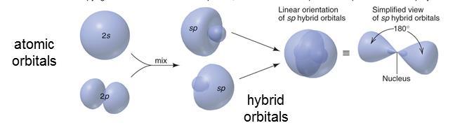 sp Hybridization Formation and orientation of sp hybrid orbitals and the