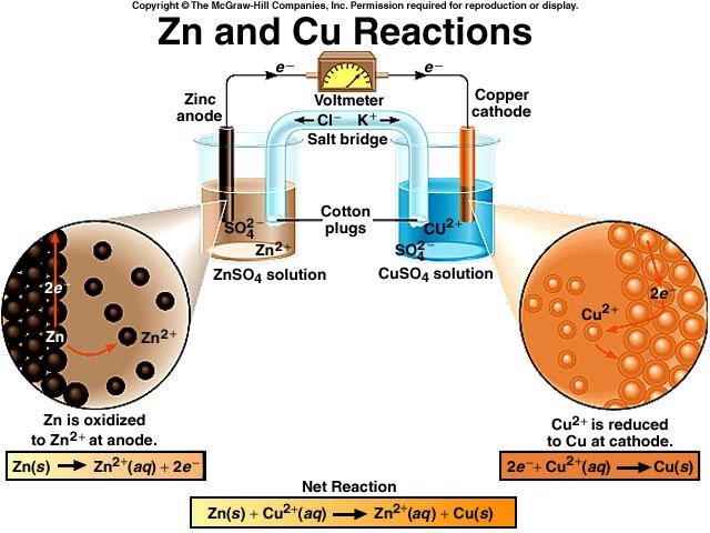 Becomes smaller Becomes larger Zn anode Cu cathode Cell and Cell Notation Anode: Electrode site