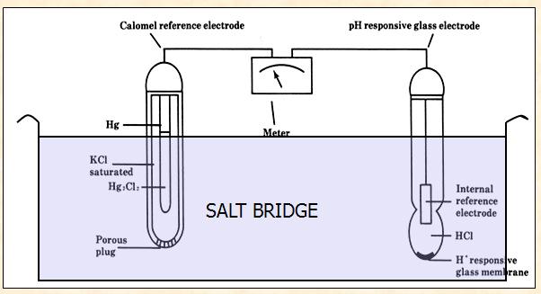 INDICATOR ELECTRODES BASIC HYDROGEN-SELECTIVE MEMBRANE (ph) ELECTRODE Ag/AgCl electrode immersed in HCl contained in tube with a glass membrane tip; glass membrane composed of silicon dioxide with