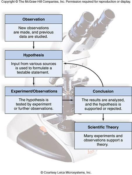 Scientific Method key steps: Make observations Ask questions about the observations: How? Why? When? Generate hypotheses; explanations of the phenomena, phrased to be testable.