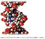 Properties of Life 0 Complex levels of organization, ordered structures Regulate