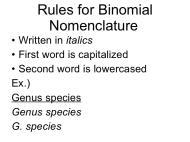 of nomenclature and agreements