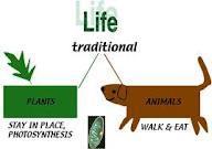 Examples of classification systems : Two Kingdom classification system All organism may be grouped as plants or
