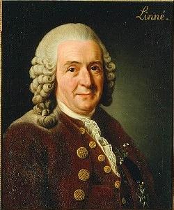 Binomial Nomenclature! Developed by Carolus Linnaeus! Swedish Biologist 1700 s!