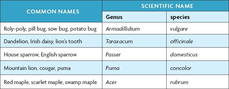 Binomial Nomenclature Scientific names help scientists to