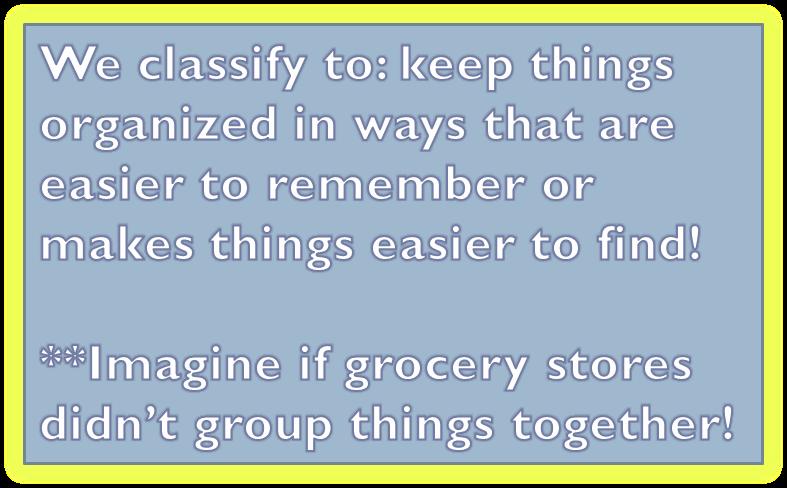 Why do we classify things?! Supermarket aisles! Libraries!