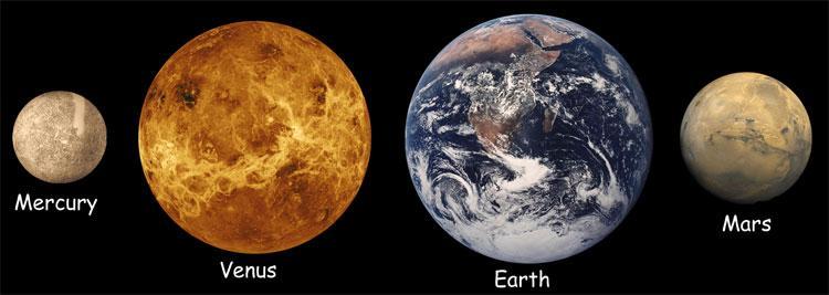The four terrestrial (inner) planets Sizes to scale Small in size and mass Composed primarily