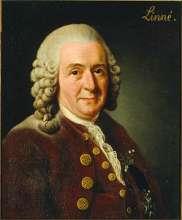 Section 1 Carolus Linnaeus rejected the notion that