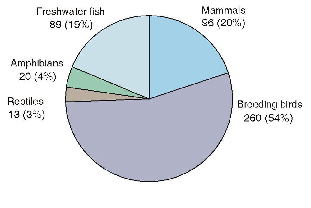 Fig. 1: Number of assessed taxa in each species group in