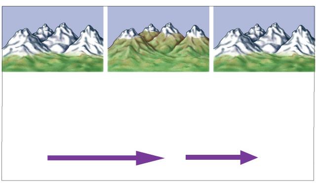 link alpine zones into one continuous range.
