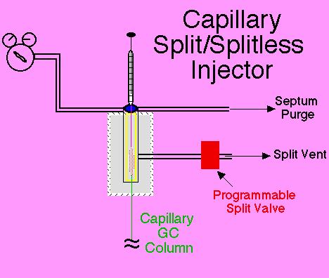 Split / Splitless injector For capillary columns -